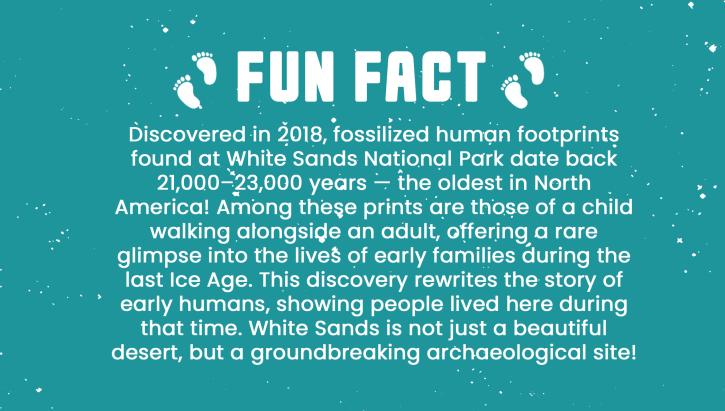 Fun Fact White Sands Footprints