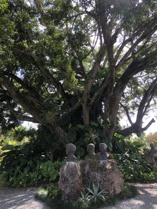 trees statues