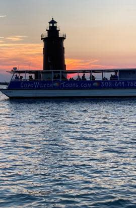 cape water taxi