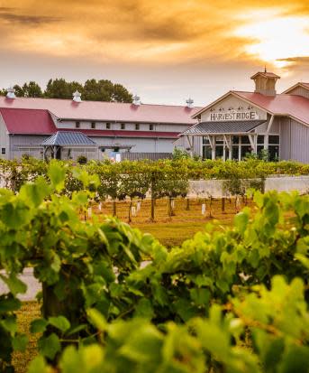 Harvest Ridge Winery outdoor shot of property with sunset
