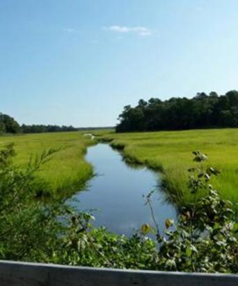 Cape Junction and Breakwater Trail