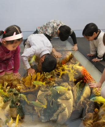 Kids explore at Delaware Museum of Nature and Science