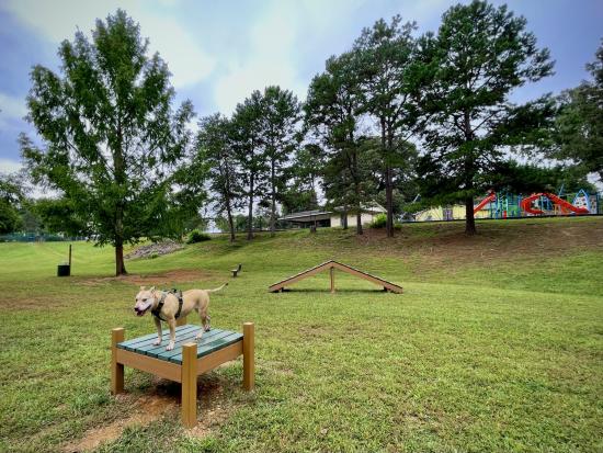 St. Stephens dog park