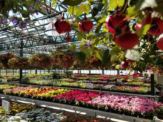award winning greenhouse