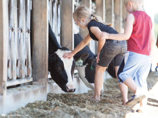 Country Dairy, Inc.