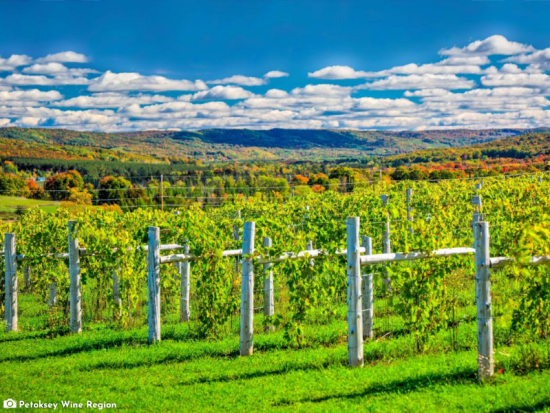 Petoskey Wine Region