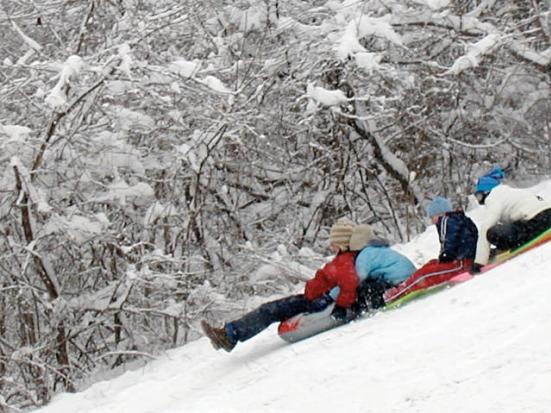 sledding