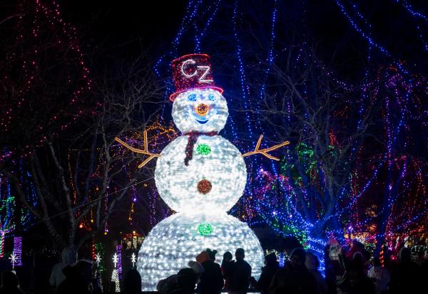 Wildlights - Snowman