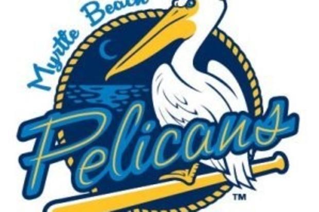 Pelicans Icon