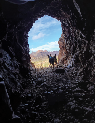 Kurt Christ Kofa National Wildlife Refuge