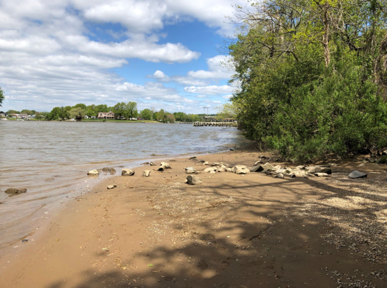 Mariner Point Park