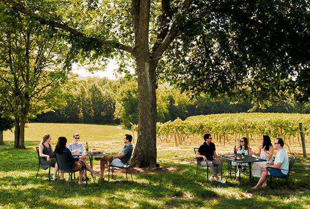 DTN - PPS - Wineries - Noboleis Vineyards