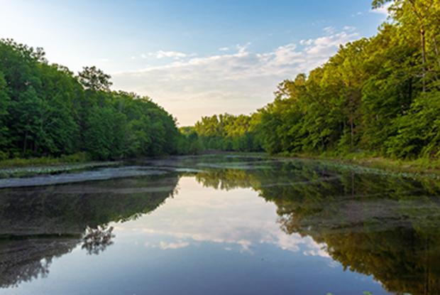 Cedarville State Forest