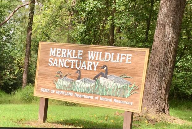 Merkle State Wildlife Sanctuary & Visitor's Center