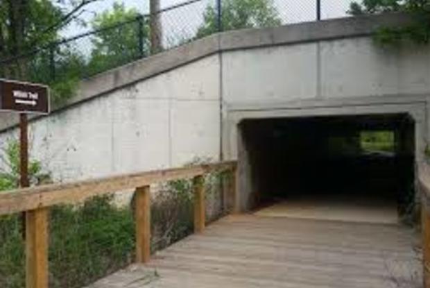 WASHINGTON, BALTIMORE & ANNAPOLIS RECREATIONAL TRAIL