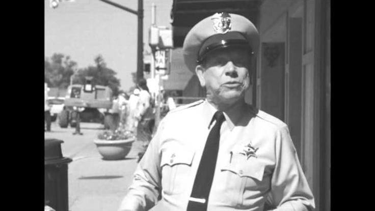 Mayberry Festival Danville Indiana 2022