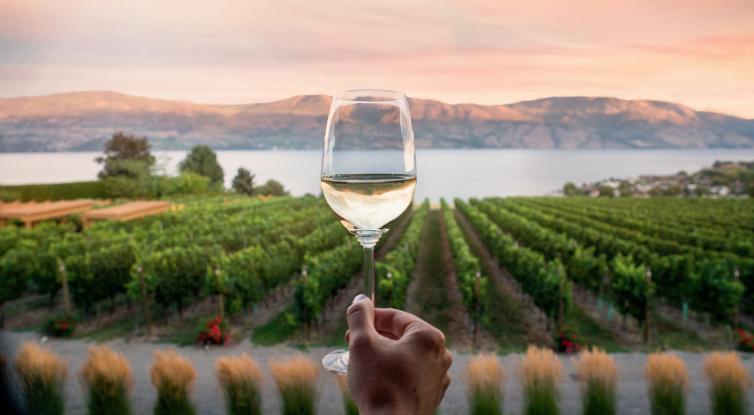 Wine glass with view