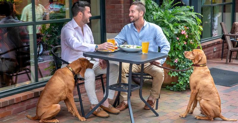 Pet Friendly Dining