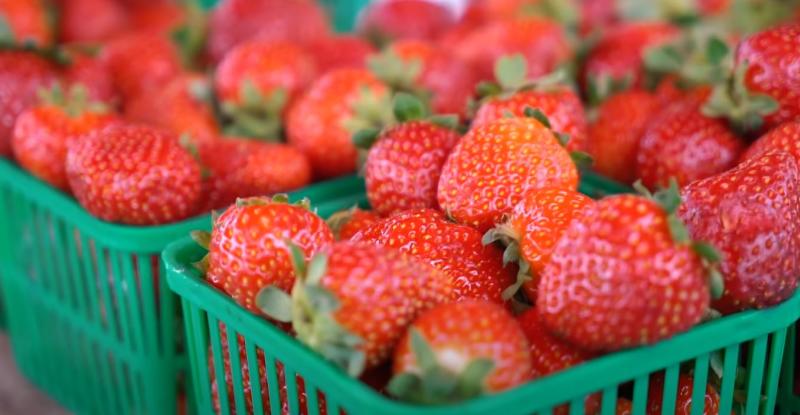 baskets of Strawberries