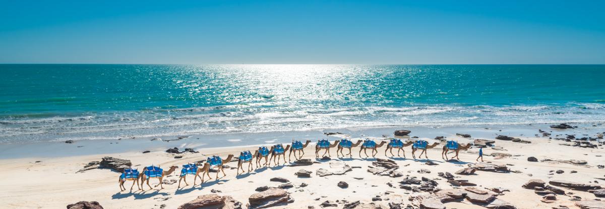 Afternoon Camel Train on Cable Beach with the Indian Ocean in the background