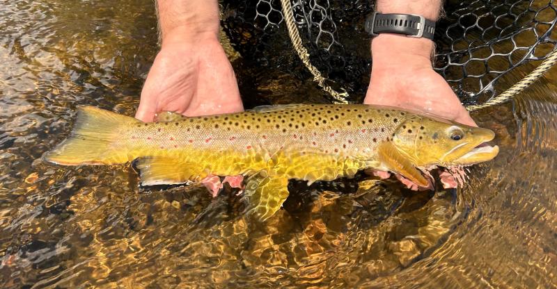 Fishing at Moraine Park