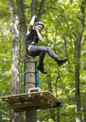 Ziplining Course - Roanoke - Blue Ridge Mountains