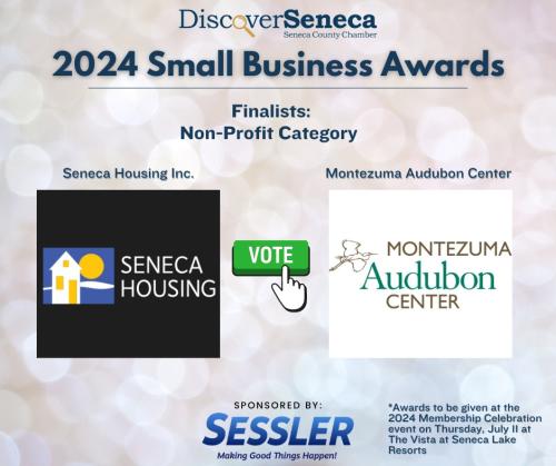 2024 Small Business Award Non Profit