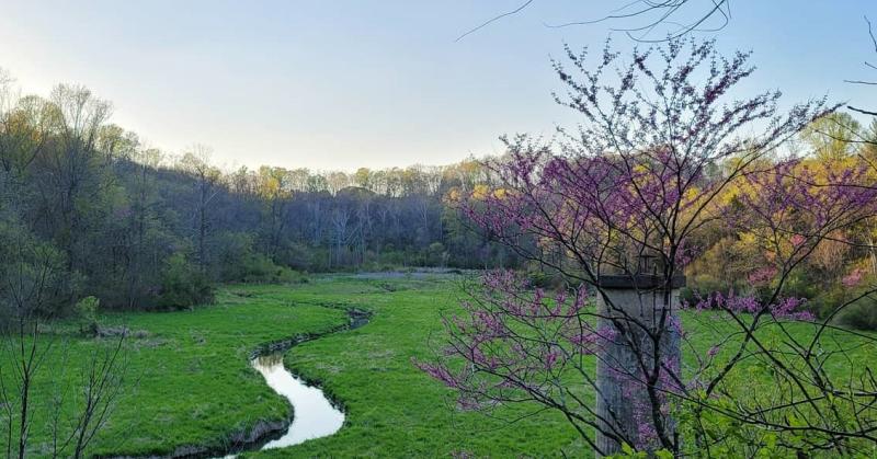 Tree top view of the narrow creek at Leonard Springs Nature Park during spring