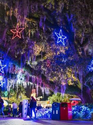 12 Things to Do this December | New Orleans