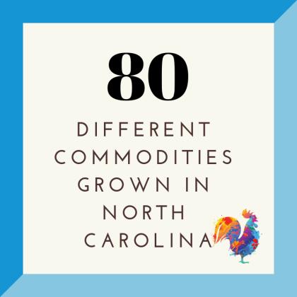 80 different