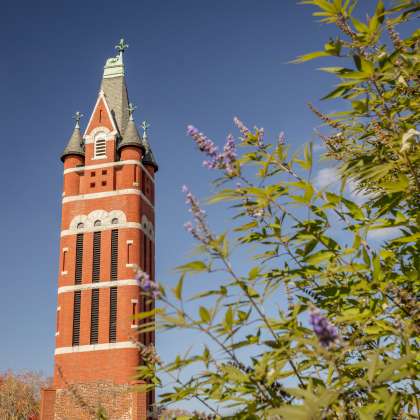 Bell Tower in a park and foliage