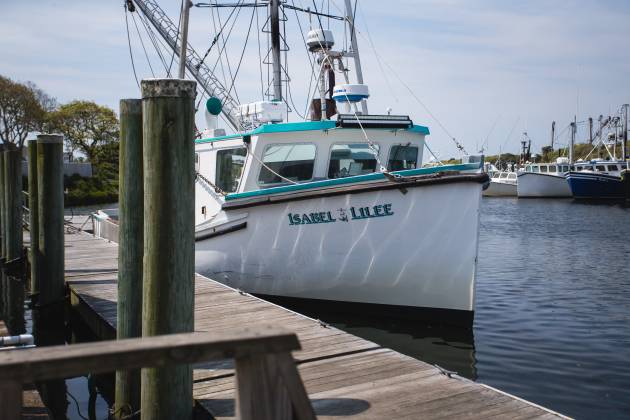 FV Isabel Lilee
