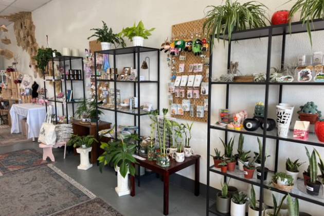 Let Me Take a Look Gift Shop