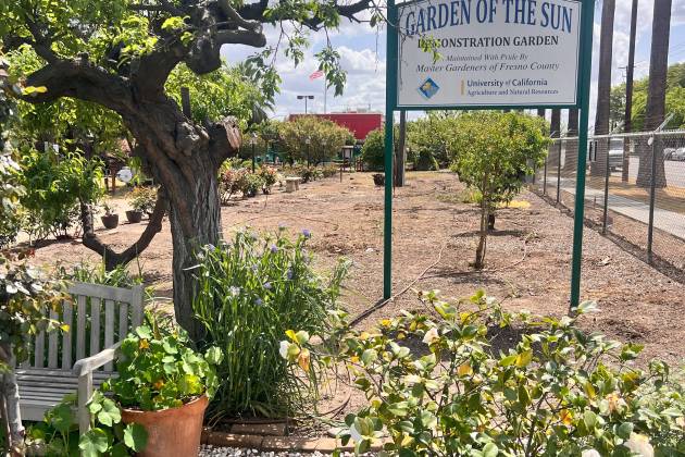 Garden of the Sun