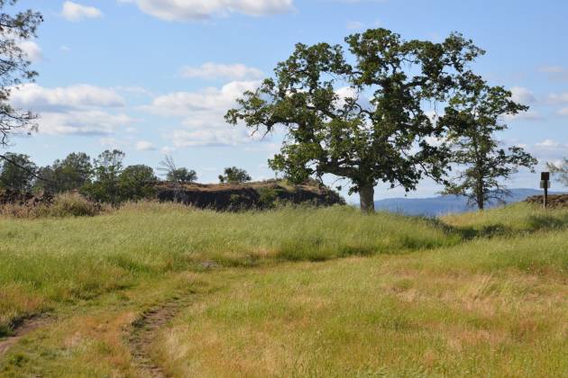 Table Mountain Preserve