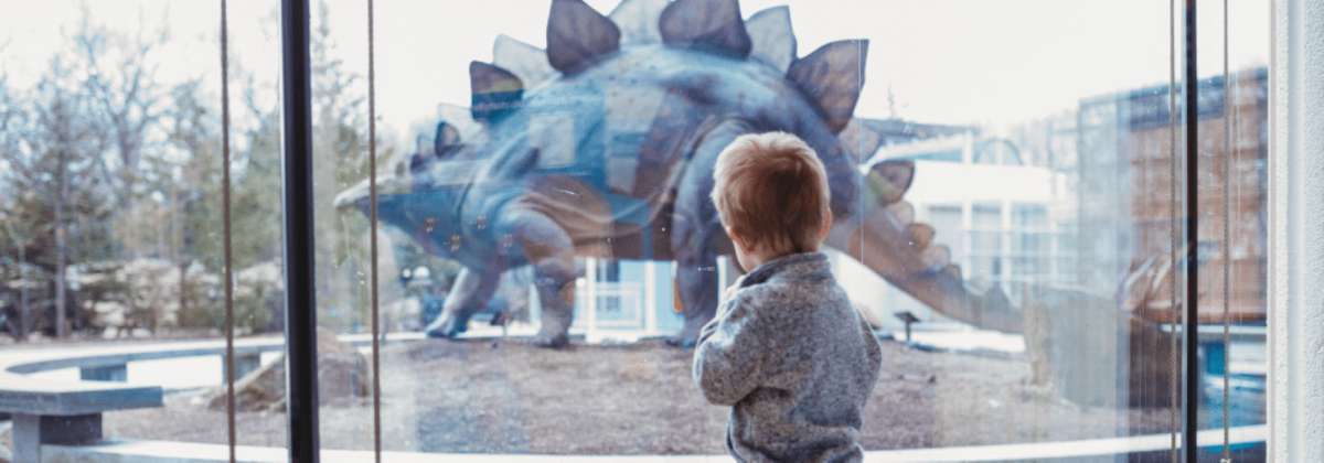 A Boy Looks out at a Dinosaur at Worcester's Ecotarium