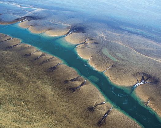 Montgomery Reef & Lalang-garram/Camden Sound Marine Park