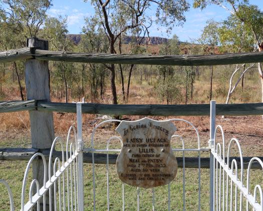 Argyle Downs Homestead Museum