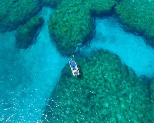 Montgomery Reef & Lalang-garram/Camden Sound Marine Park