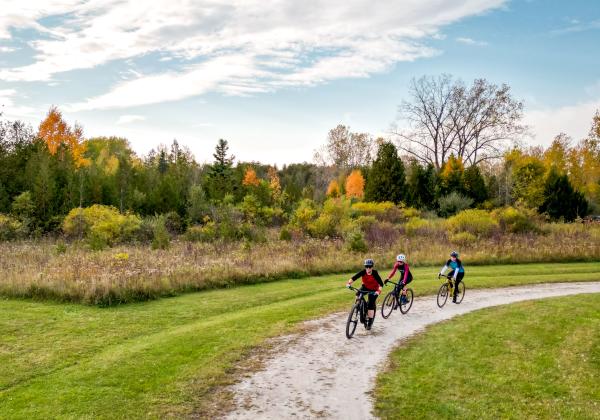 Fall Trails