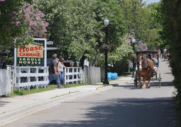 drive a carriage for a day