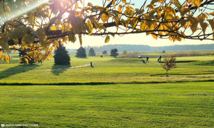 Pigeon Creek Golf