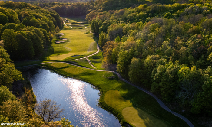 Treetops