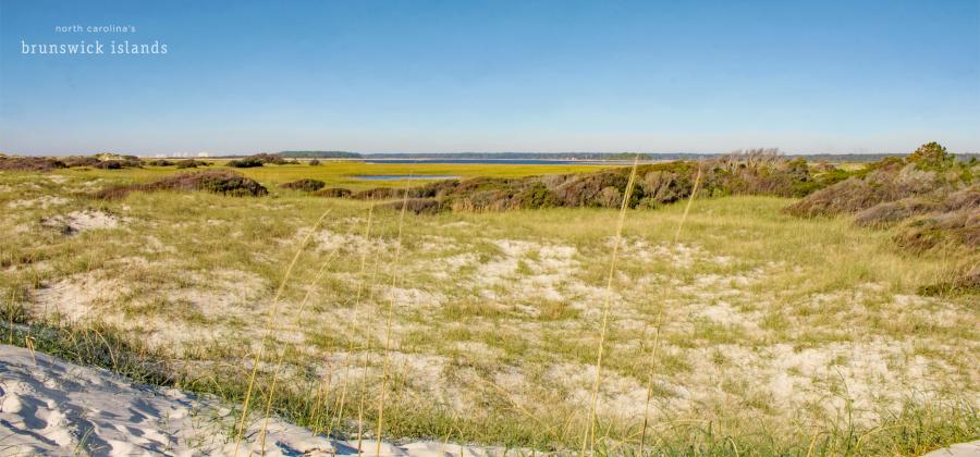 Bird Island Reserve in Sunset Beach, NC
