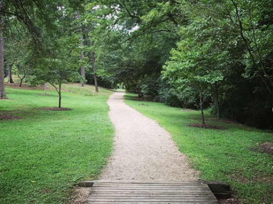 Hurley Park