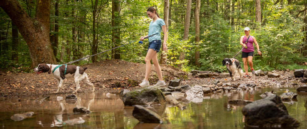 Dog Friendly Hiking around Hershey & Harrisburg