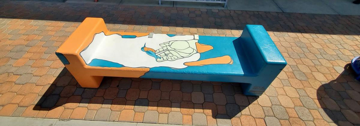 Palm Springs colorful bench