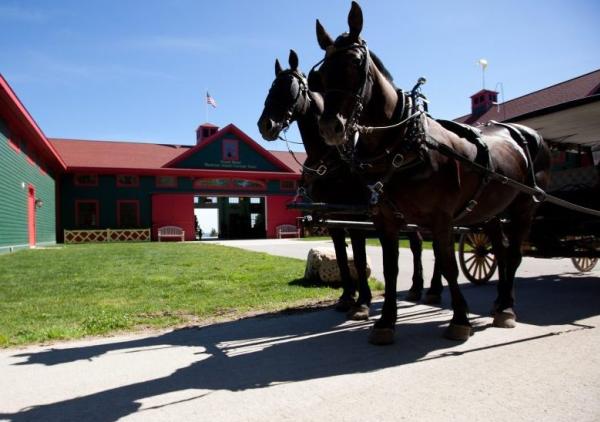 Grand-Hotel-Stables