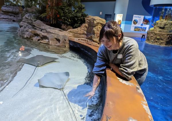 Living Shores Aquarium - Ray Touch Pool