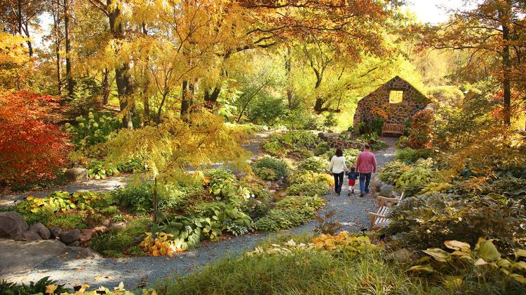 Fall colors at Green Bay Botanical Garden